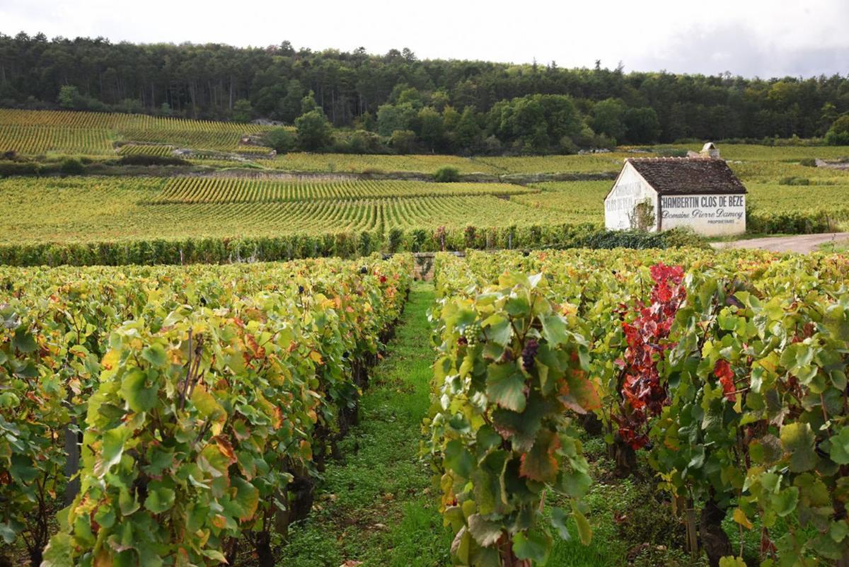 Le Richebourg - Charmant T2 Cosy, Tout Confort Gevrey-Chambertin Exterior foto