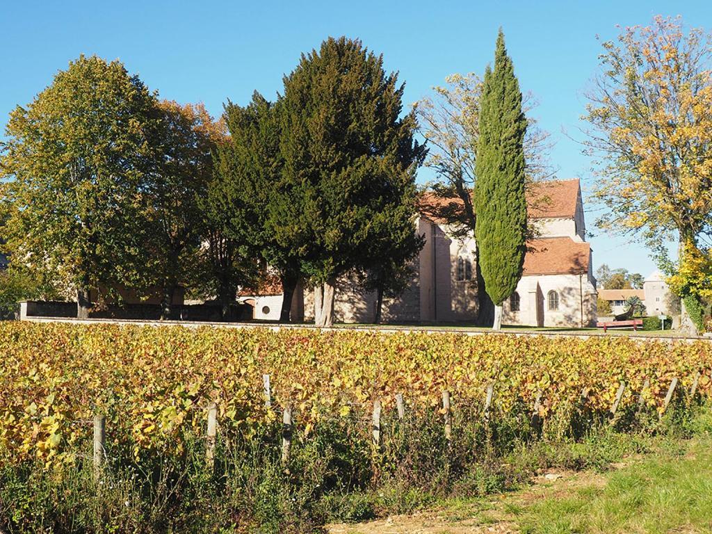 Le Richebourg - Charmant T2 Cosy, Tout Confort Gevrey-Chambertin Exterior foto